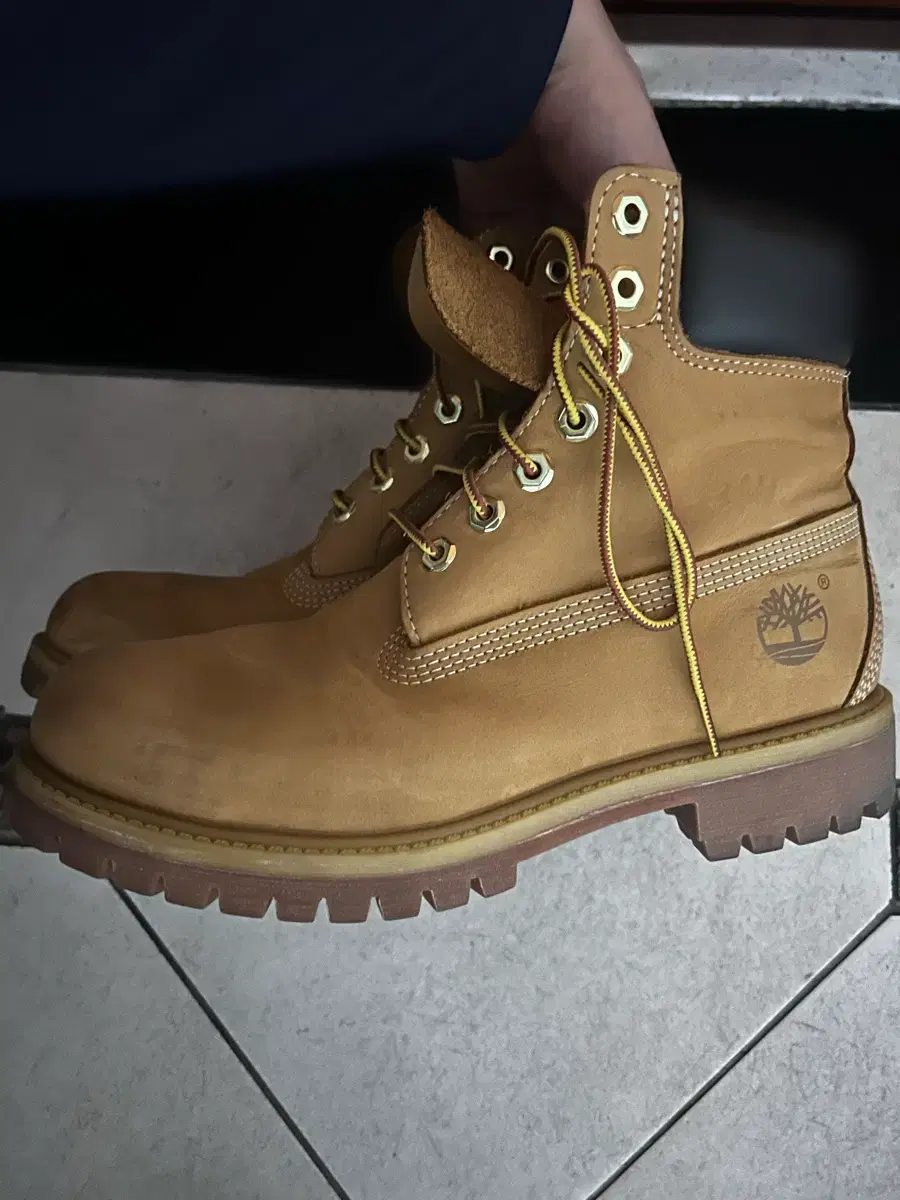 thumbnail-5